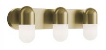 AFX Lighting, Inc. IRVV2406LAJUDLB - Irvine Vanity 24'' LED 5CCT 120-277V LB