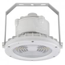 Westgate MFG C3 EXPR-30W-50K - C1D2 HAZ. LOC. ROUND FLOOD HIGHBAY 120-277V 30W 50K GRAY