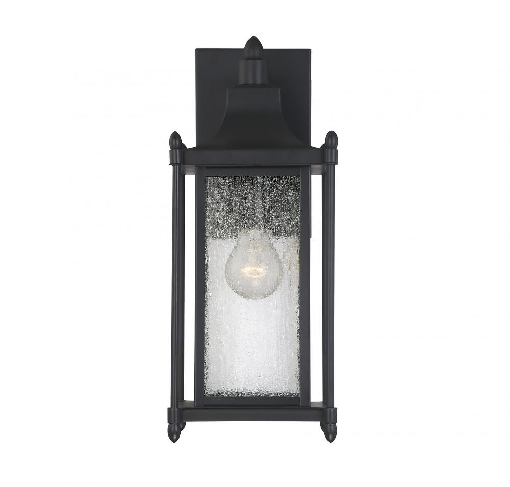 Dunnmore 1-Light Outdoor Wall Lantern in Black