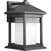 Progress P6002-31 - Merit Collection One-Light Wall Lantern