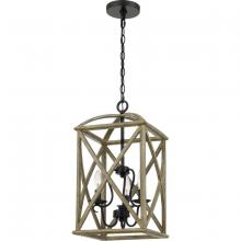 Quoizel WHN5203DW - Woodhaven Pendant