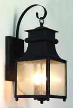 Trans Globe 45632 WB - Santa Ines 24.5" Wall Lantern