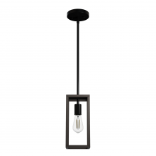 Hunter 19769 - Hunter Squire Manor Matte Black and Dark Ash 1 Light Pendant Ceiling Light Fixture