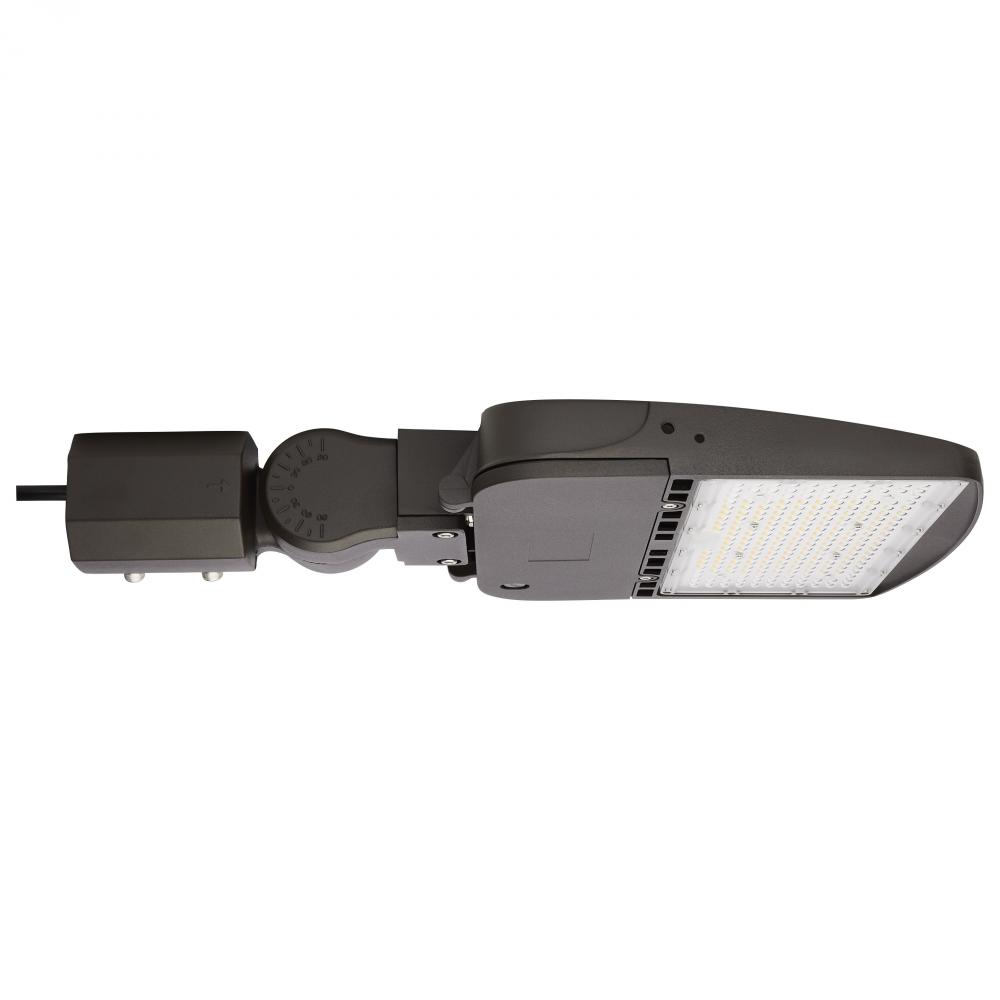 LED Area Light Type IV; 150W; Bronze Finish; 4000K; 120-277V