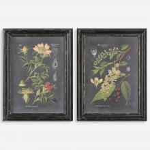 Uttermost 56053 - Uttermost Midnight Botanicals Wall Art S/2